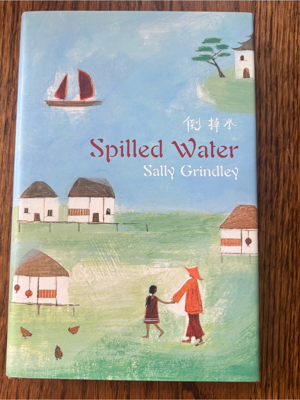 Spilled Water by Sally Grindley Hardcover Book